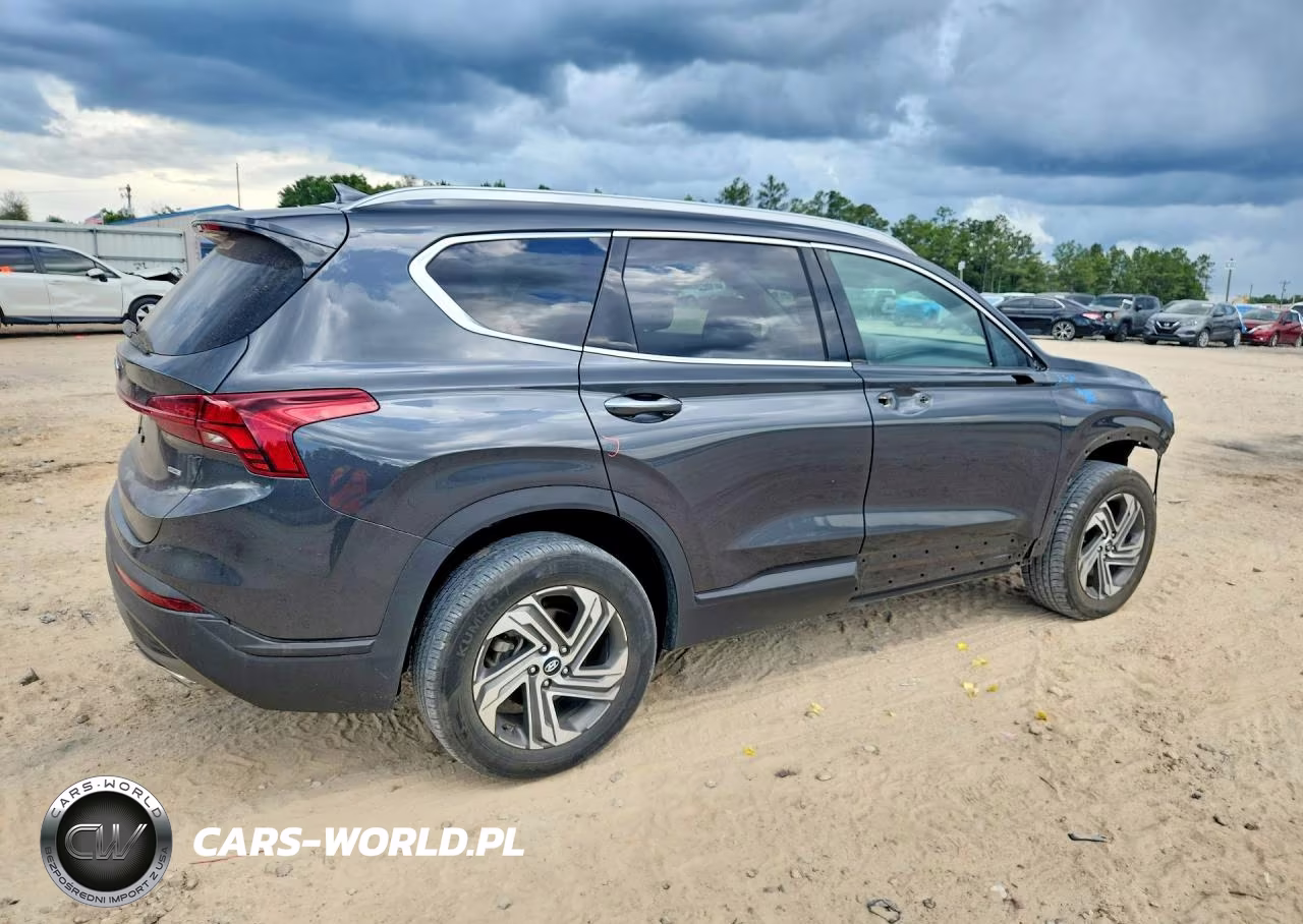 2023 Hyundai Santa Fe Sel VIN:5NMS2DAJ9PH545478 - 3