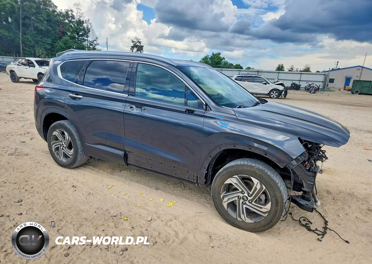 2023 Hyundai Santa Fe Sel VIN:5NMS2DAJ9PH545478 - 4