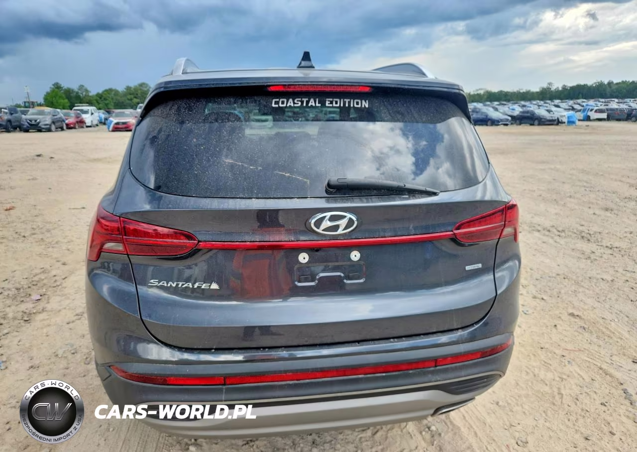 2023 Hyundai Santa Fe Sel VIN:5NMS2DAJ9PH545478 - 6