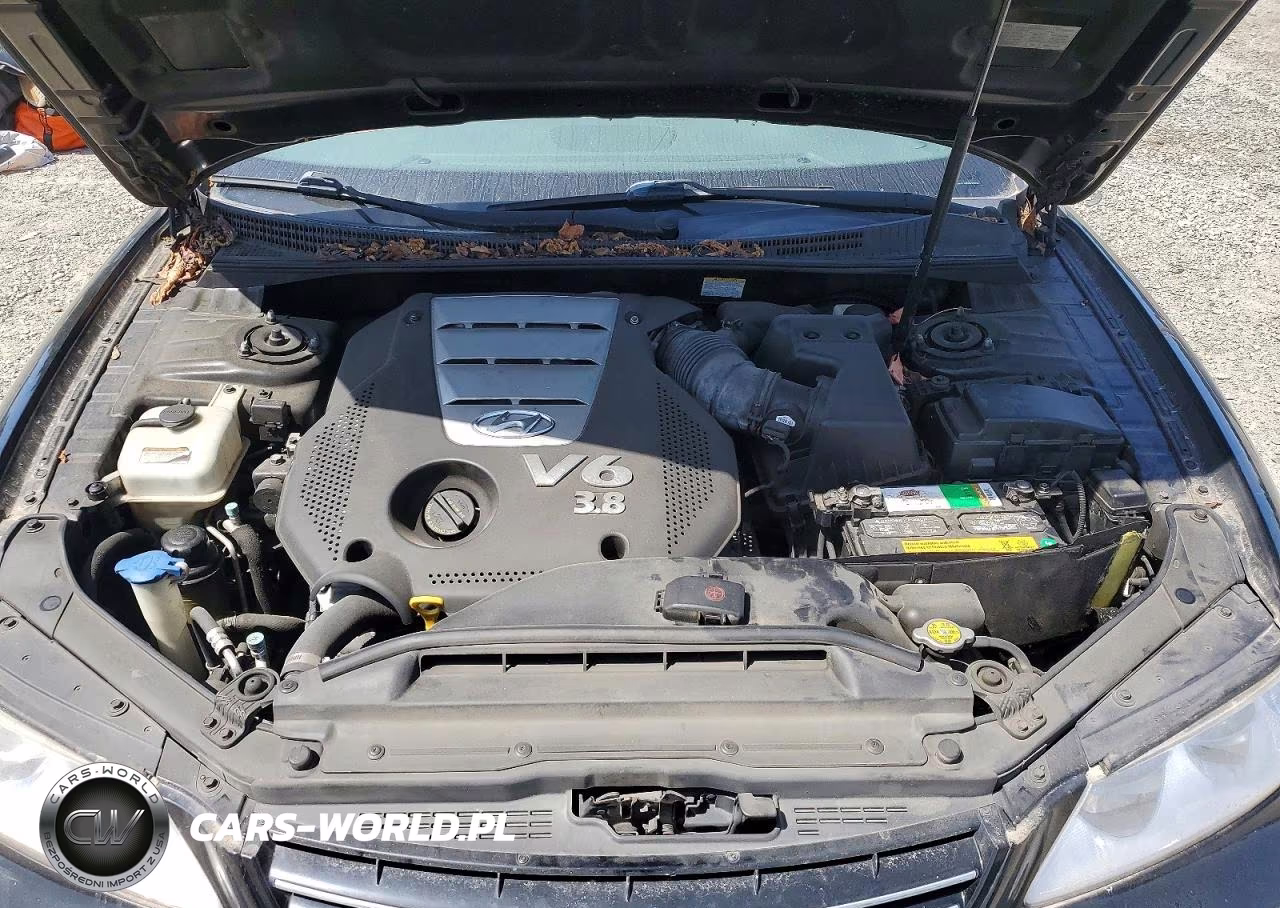 2008 Hyundai Azera Limited VIN:KMHFC46F48A333338 - 11