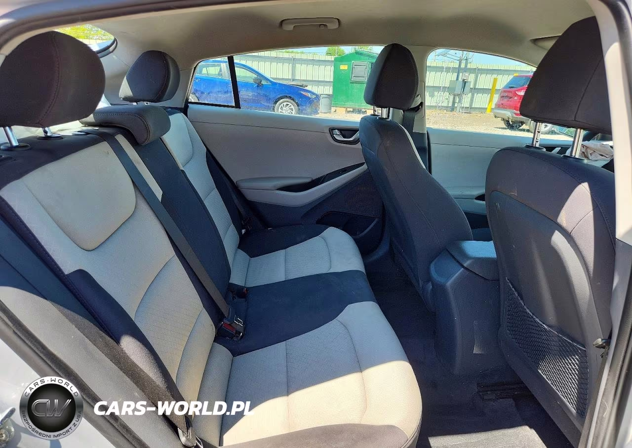 2019 Hyundai Ioniq Blue VIN:KMHC65LC3KU115438 - 10