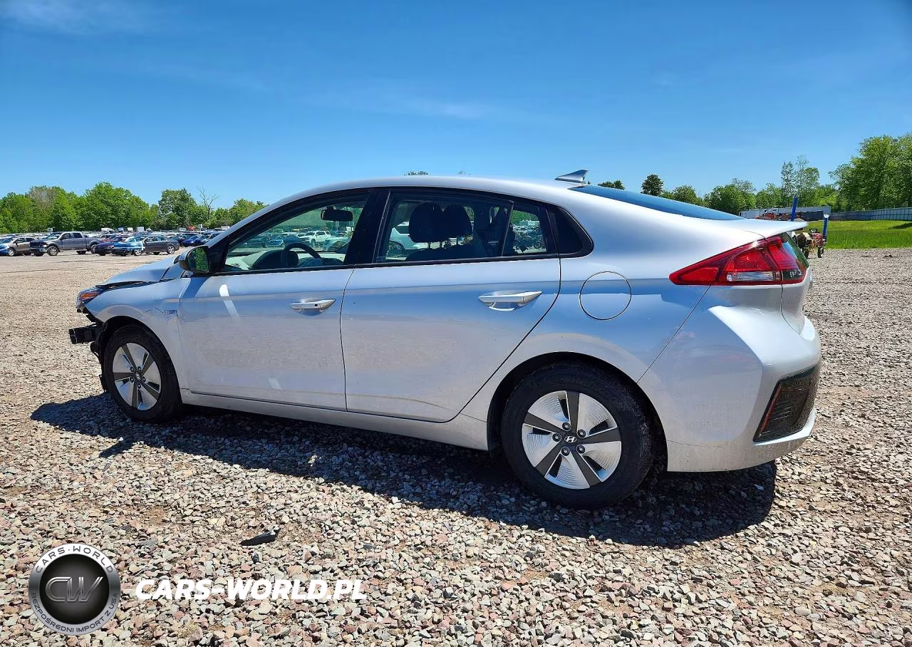 2019 Hyundai Ioniq Blue VIN:KMHC65LC3KU115438 - 2