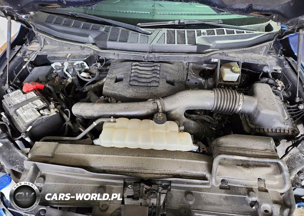 2022 Ford F150 Super VIN:1FTFW1E81NFB92448 - 11