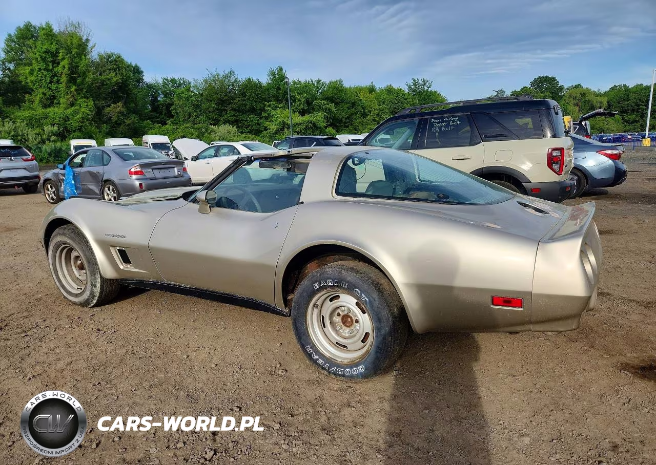 1982 Chevrolet Corvette VIN:1G1AY0788C5111260 - 2