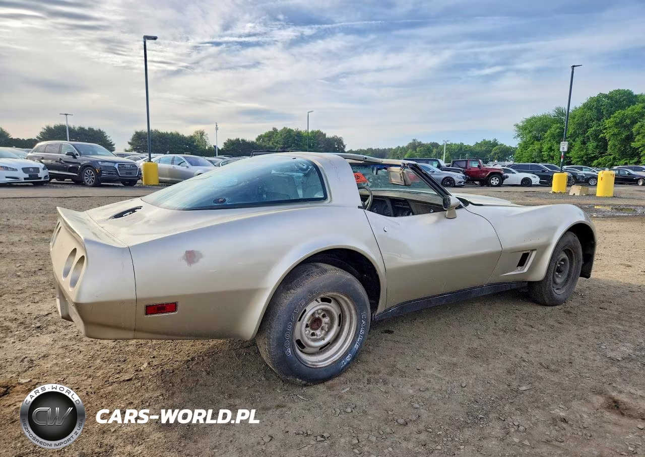 1982 Chevrolet Corvette VIN:1G1AY0788C5111260 - 3