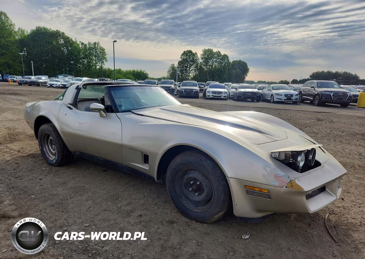 1982 Chevrolet Corvette VIN:1G1AY0788C5111260 - 4