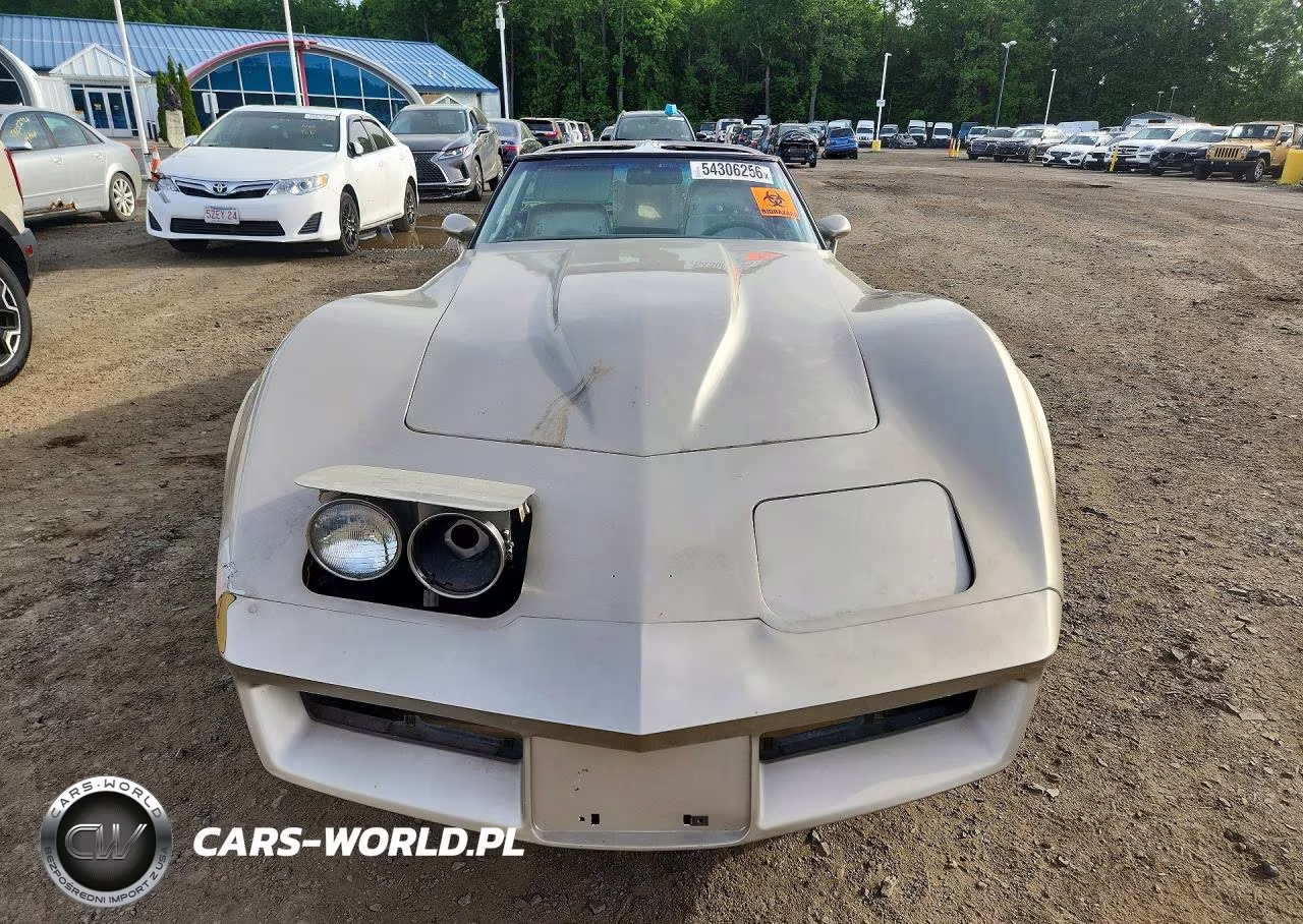 1982 Chevrolet Corvette VIN:1G1AY0788C5111260 - 5