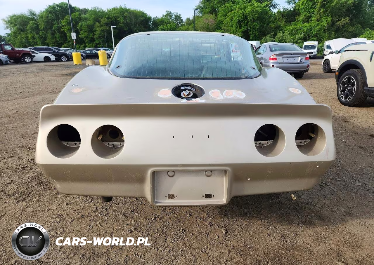 1982 Chevrolet Corvette VIN:1G1AY0788C5111260 - 6