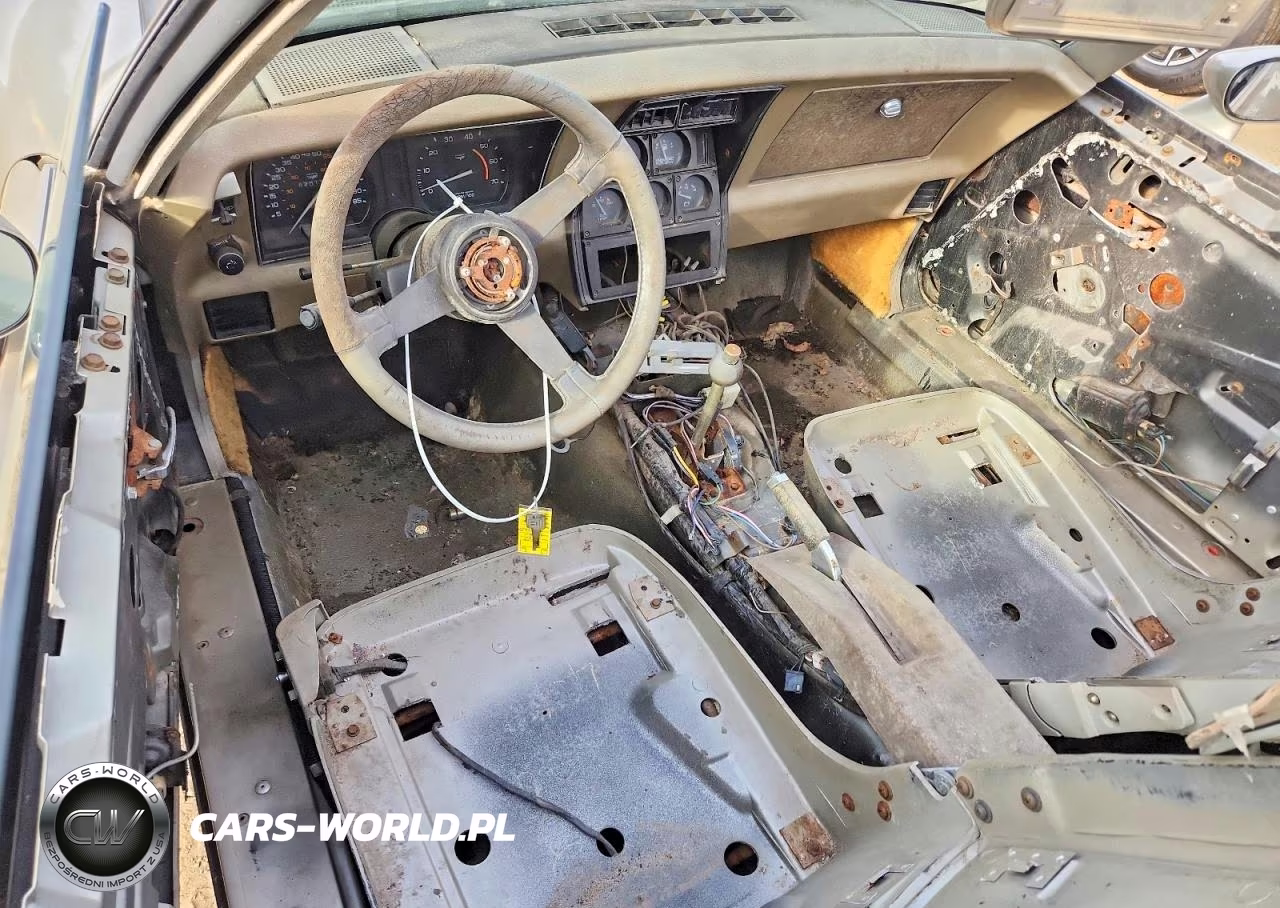 1982 Chevrolet Corvette VIN:1G1AY0788C5111260 - 8
