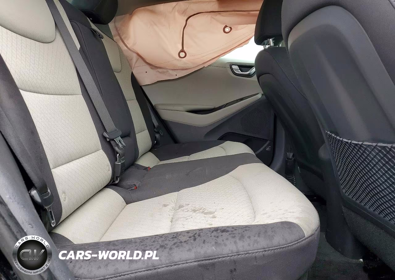 2019 Hyundai Ioniq Sel VIN:KMHC75LC5KU119567 - 10