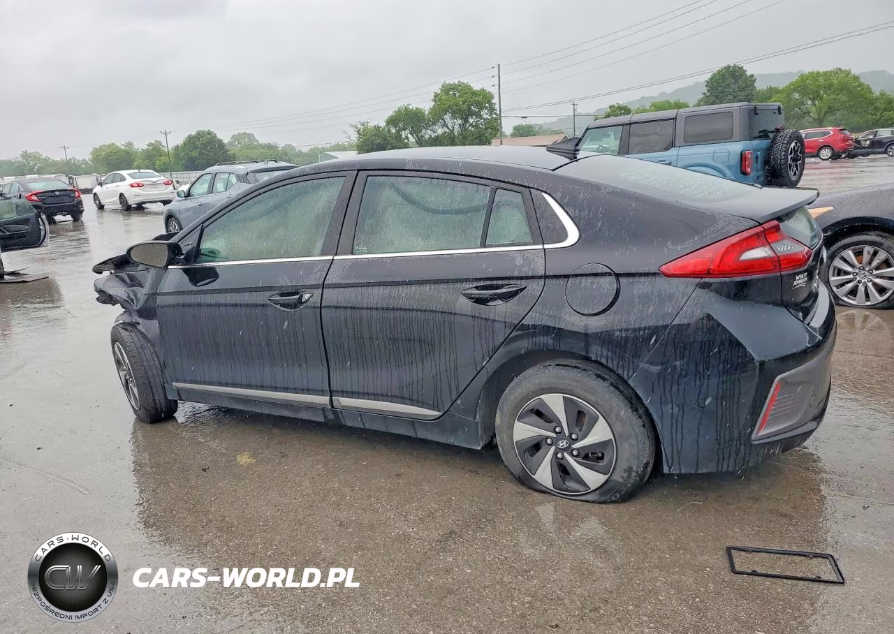 2019 Hyundai Ioniq Sel VIN:KMHC75LC5KU119567 - 2