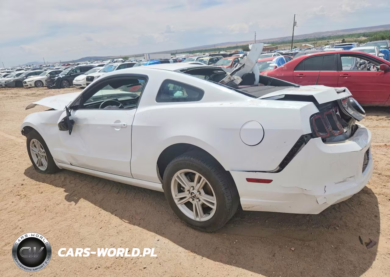 2014 Ford Mustang VIN:1ZVBP8AM1E5268664 - 2