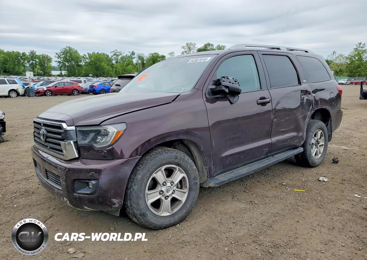 2019 Toyota Sequoia Sr5
