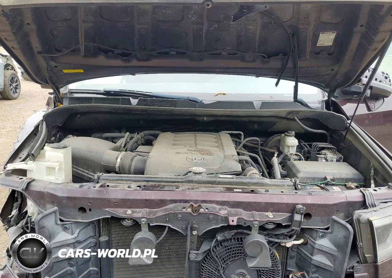 2019 Toyota Sequoia Sr5 VIN:5TDBY5G17KS173012 - 12