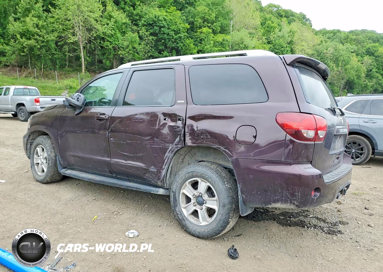 2019 Toyota Sequoia Sr5 VIN:5TDBY5G17KS173012 - 2