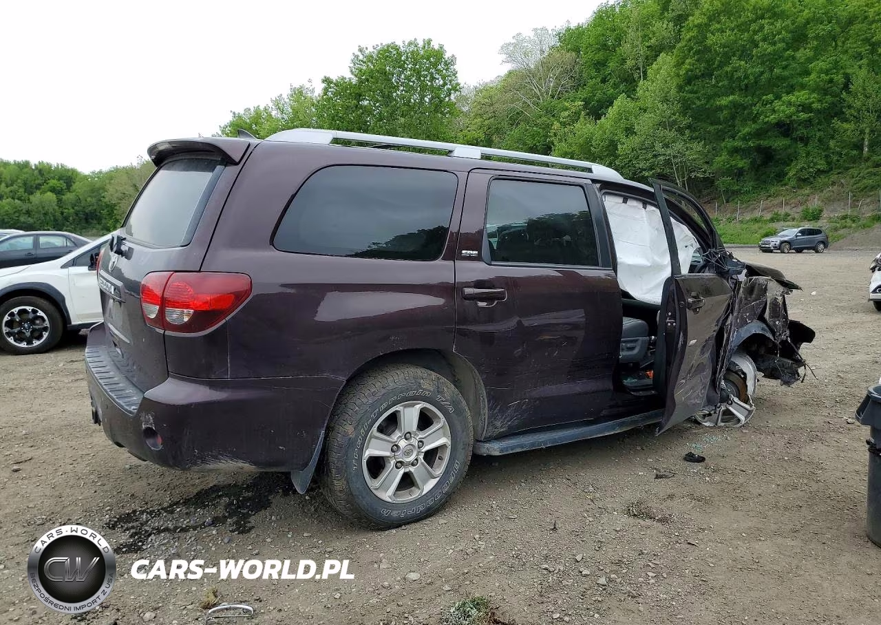 2019 Toyota Sequoia Sr5 VIN:5TDBY5G17KS173012 - 3