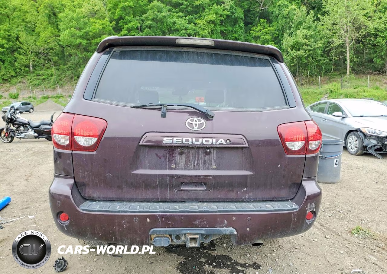 2019 Toyota Sequoia Sr5 VIN:5TDBY5G17KS173012 - 6