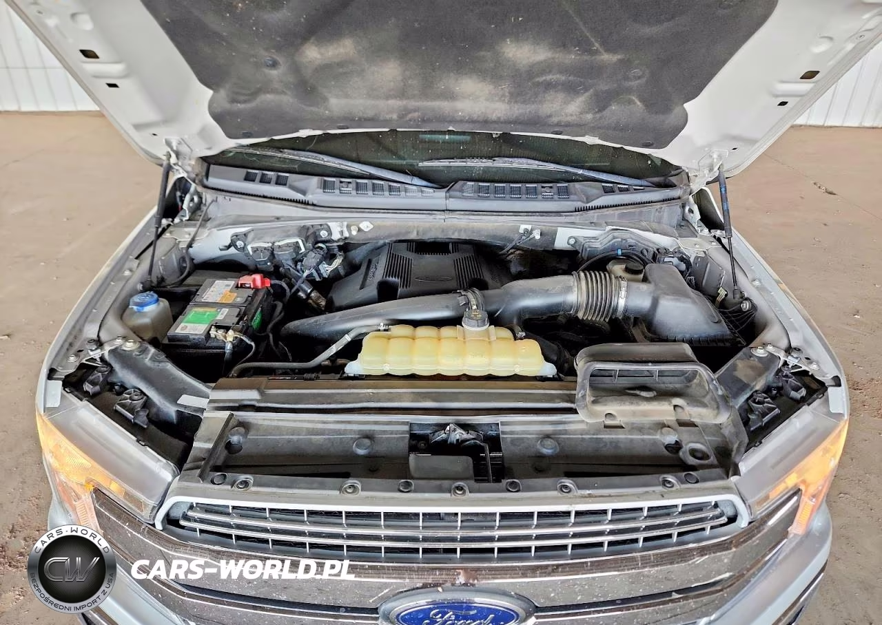 2019 Ford F150 Supercrew VIN:1FTEW1E41KKF26599 - 11