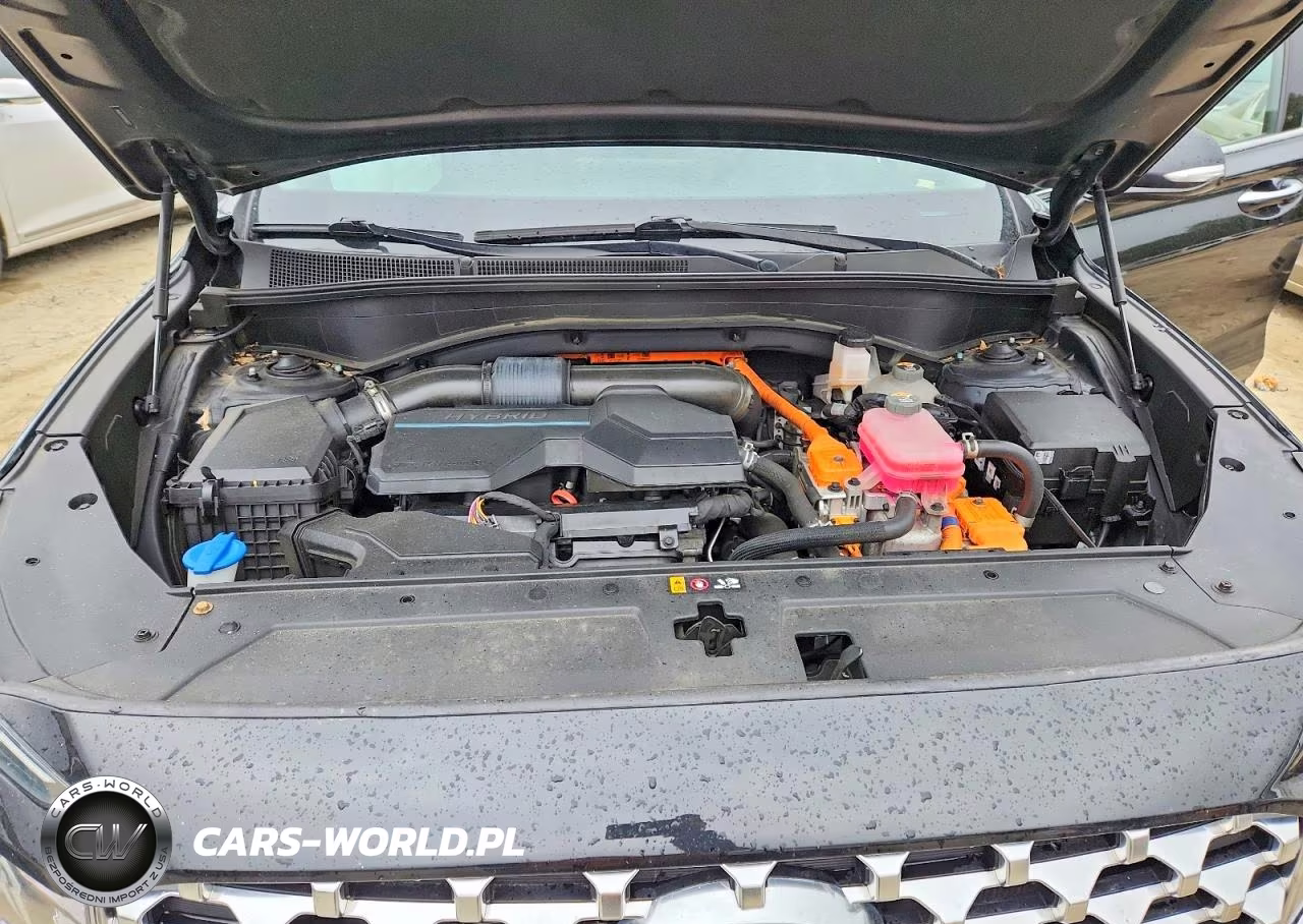 2023 Hyundai Santa Fe Blue VIN:5NMS2DA11PH007177 - 12