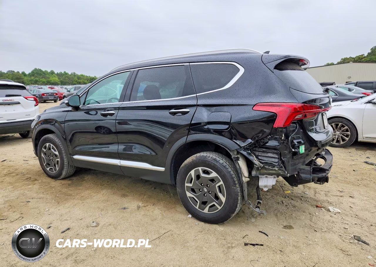 2023 Hyundai Santa Fe Blue VIN:5NMS2DA11PH007177 - 2