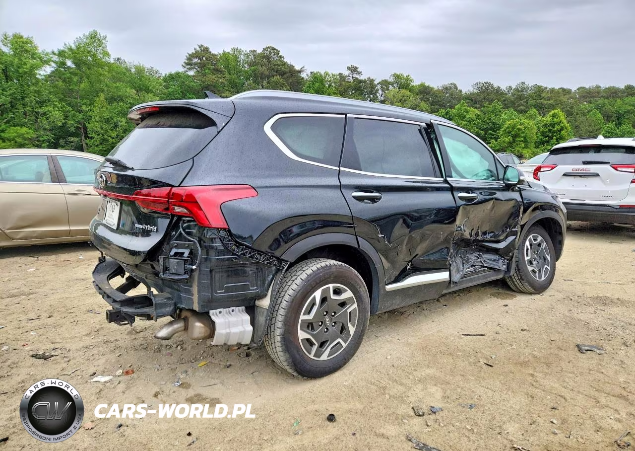 2023 Hyundai Santa Fe Blue VIN:5NMS2DA11PH007177 - 3