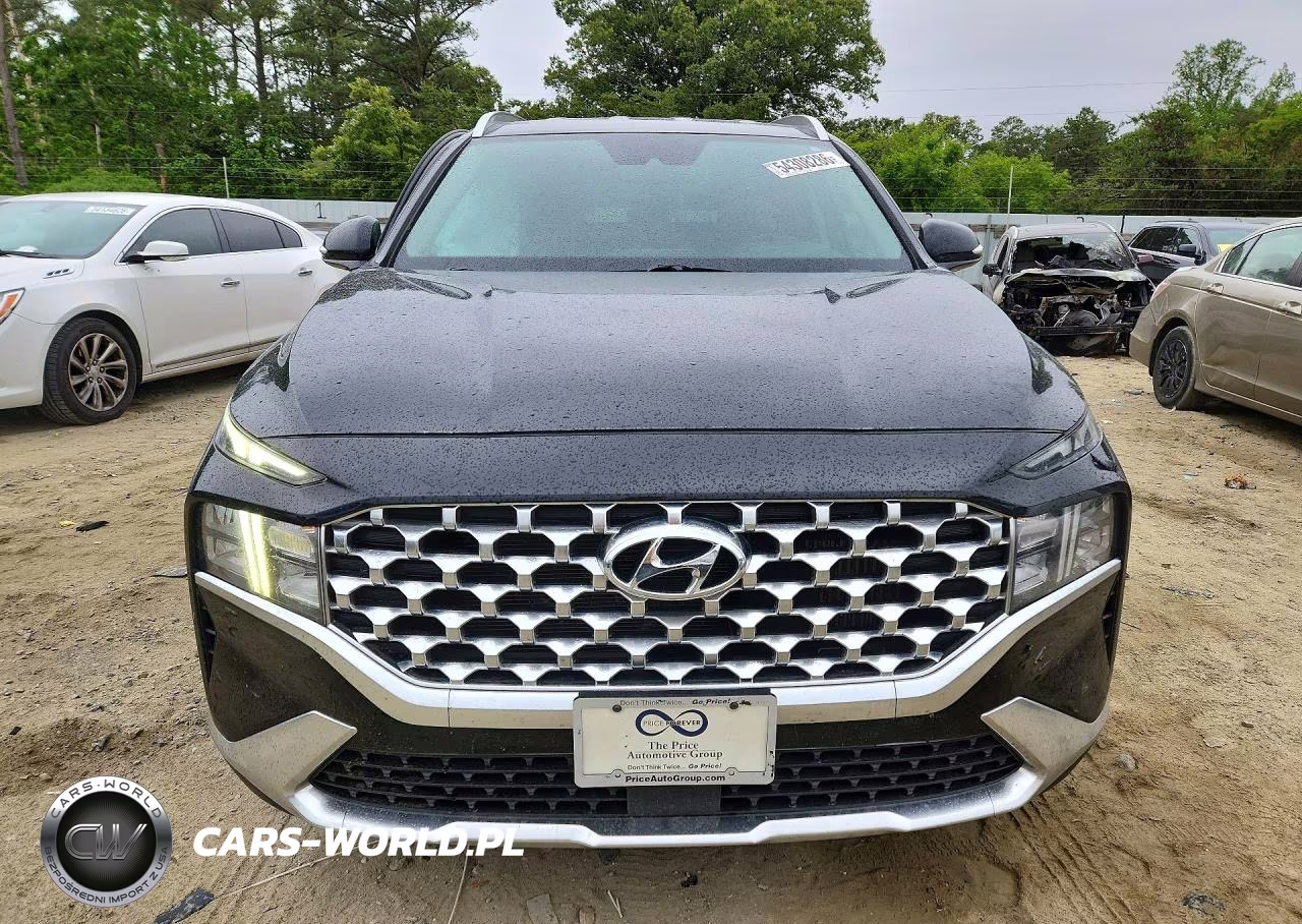 2023 Hyundai Santa Fe Blue VIN:5NMS2DA11PH007177 - 5