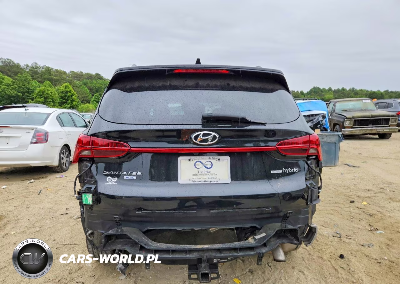 2023 Hyundai Santa Fe Blue VIN:5NMS2DA11PH007177 - 6