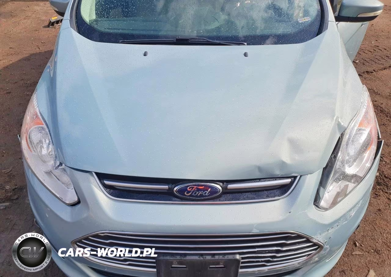 2013 Ford C-Max Sel VIN:1FADP5BU1DL554992 - 11