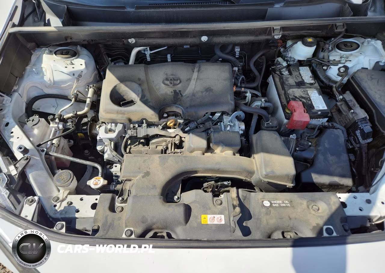 2023 Toyota Rav4 Xle VIN:2T3W1RFVXPW279249 - 12