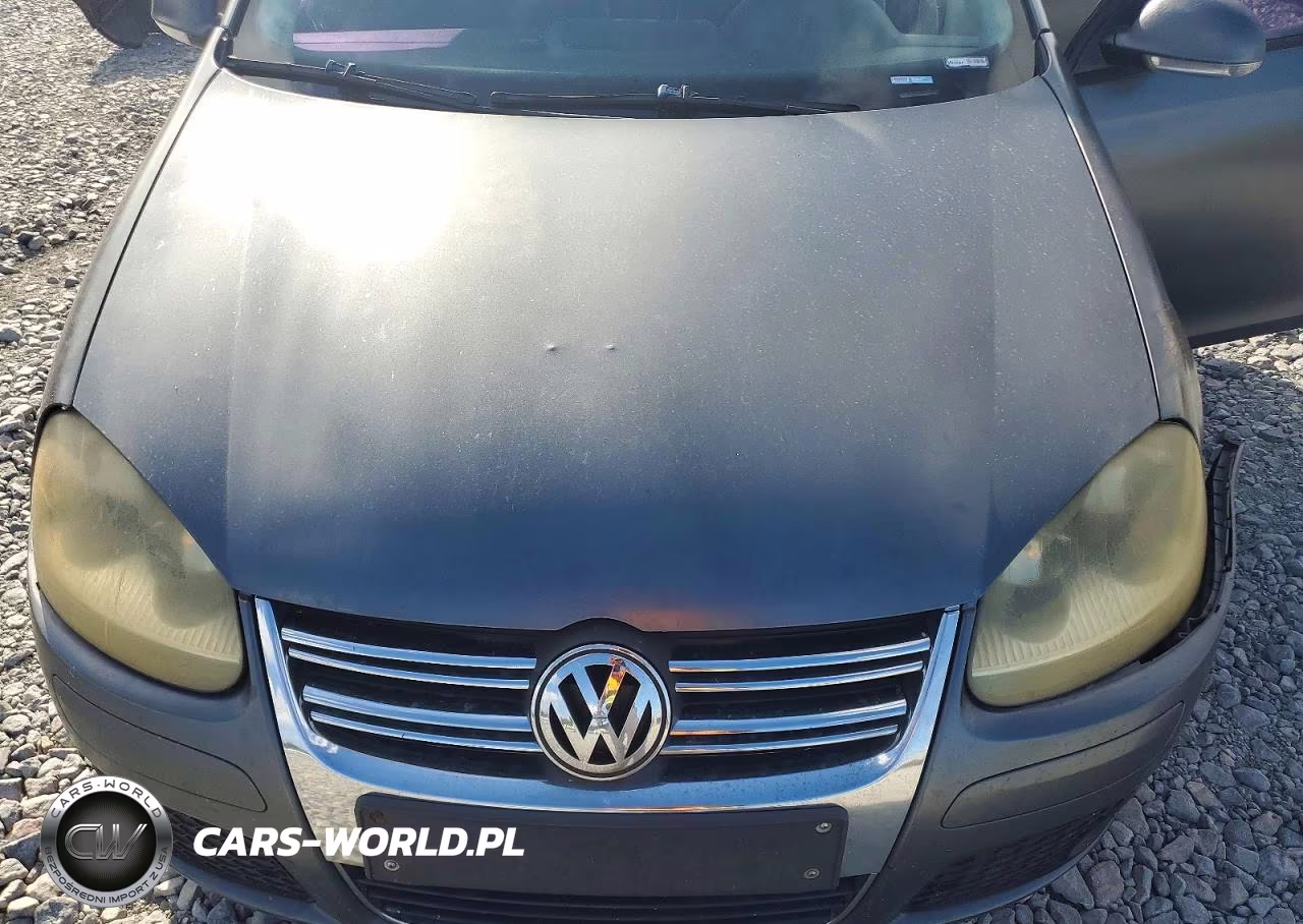 2005 Volkswagen New Jetta Value VIN:3VWPF71K35M631042 - 11