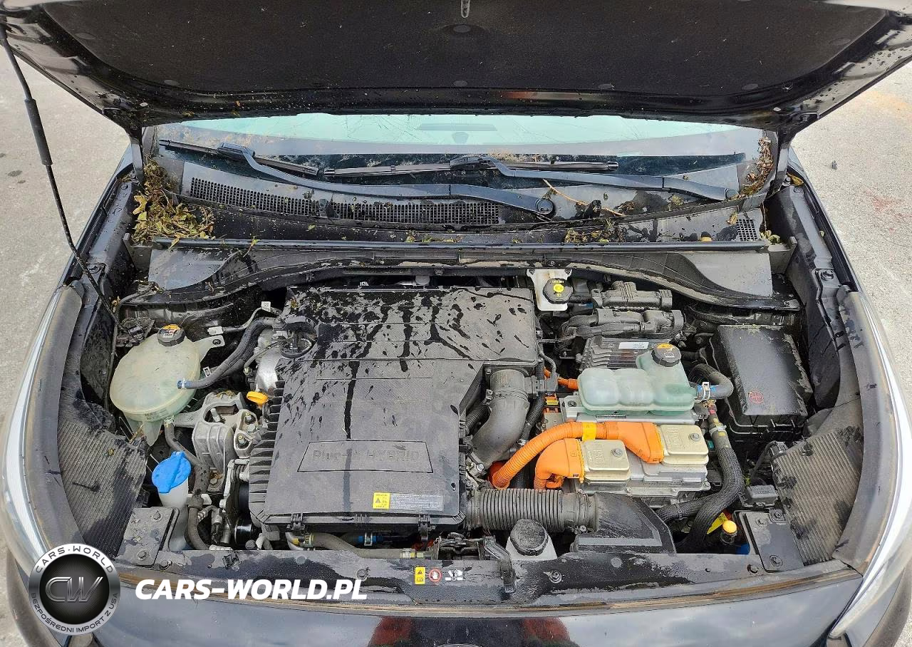 2020 Kia Niro Lxs VIN:KNDCM3LDXL5391201 - 12