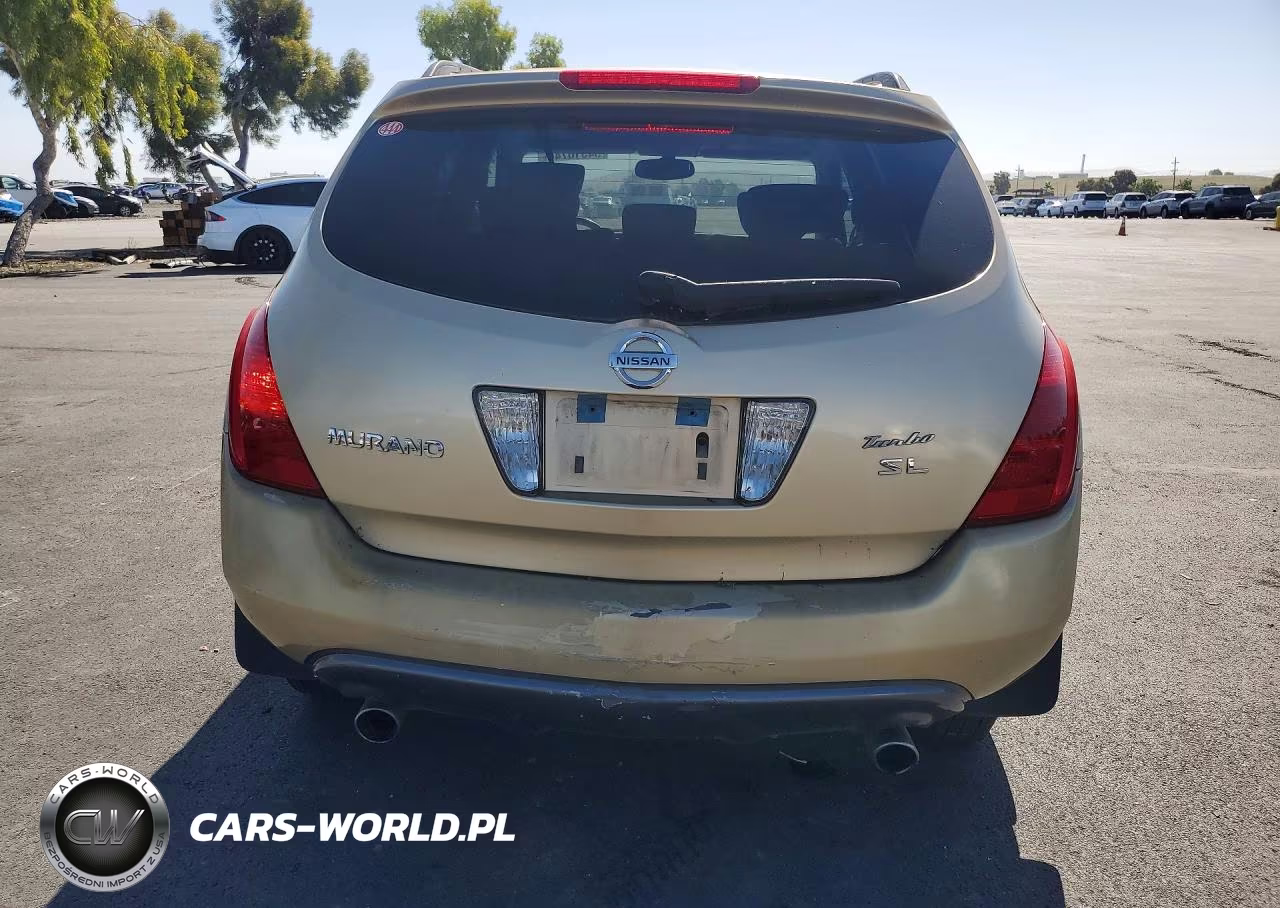 2004 Nissan Murano Sl VIN:JN8AZ08T84W218428 - 6