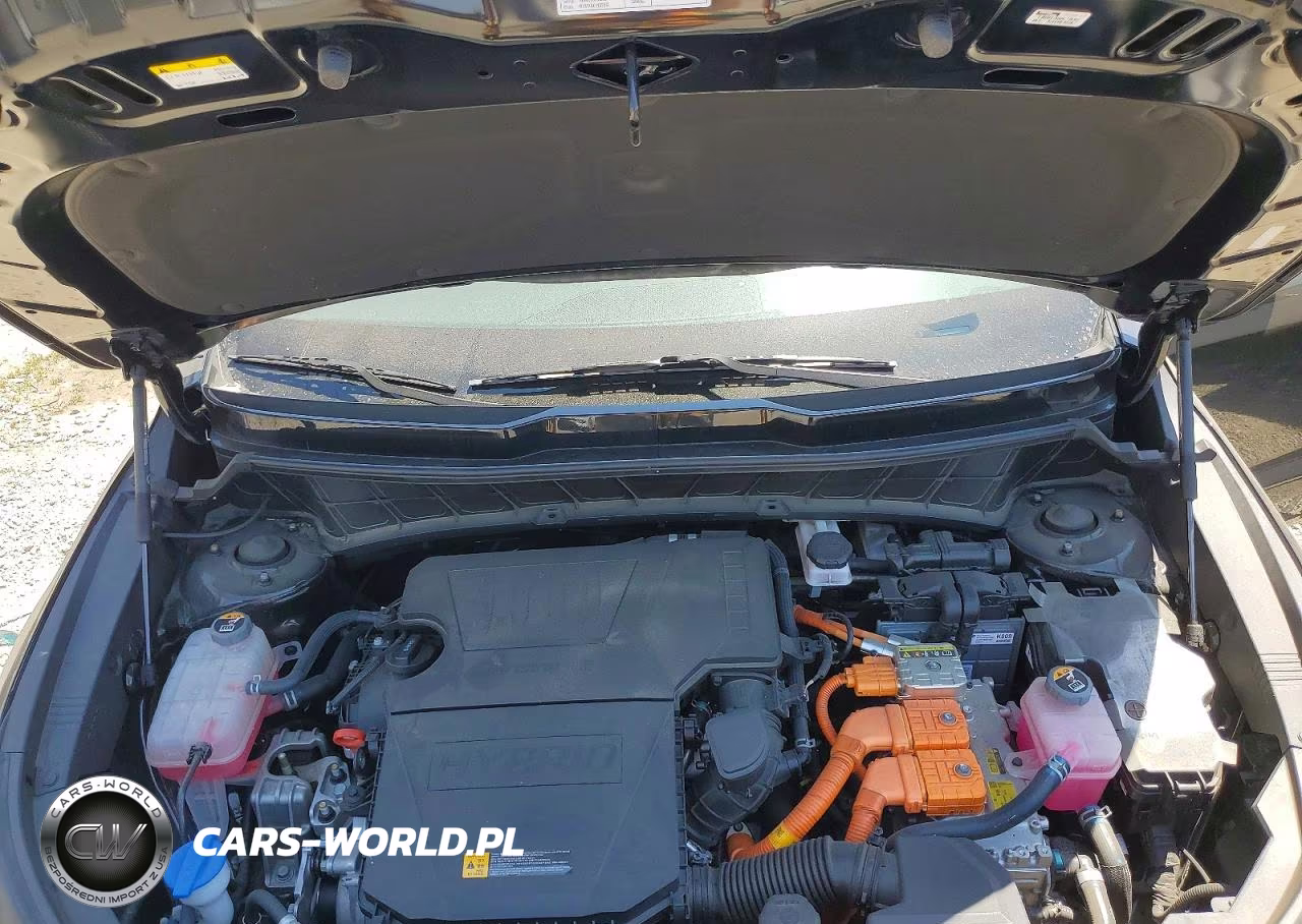 2024 Kia Niro Ex VIN:KNDCR3LE0R5137788 - 12