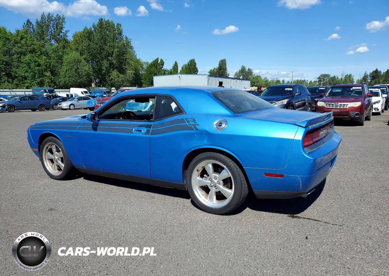 2010 Dodge Challenger R VIN:2B3CJ5DT3AH130641 - 2