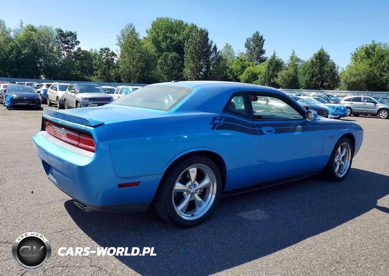 2010 Dodge Challenger R VIN:2B3CJ5DT3AH130641 - 3