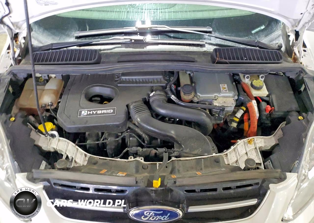 2014 Ford C-Max Sel VIN:1FADP5BU6EL509483 - 11