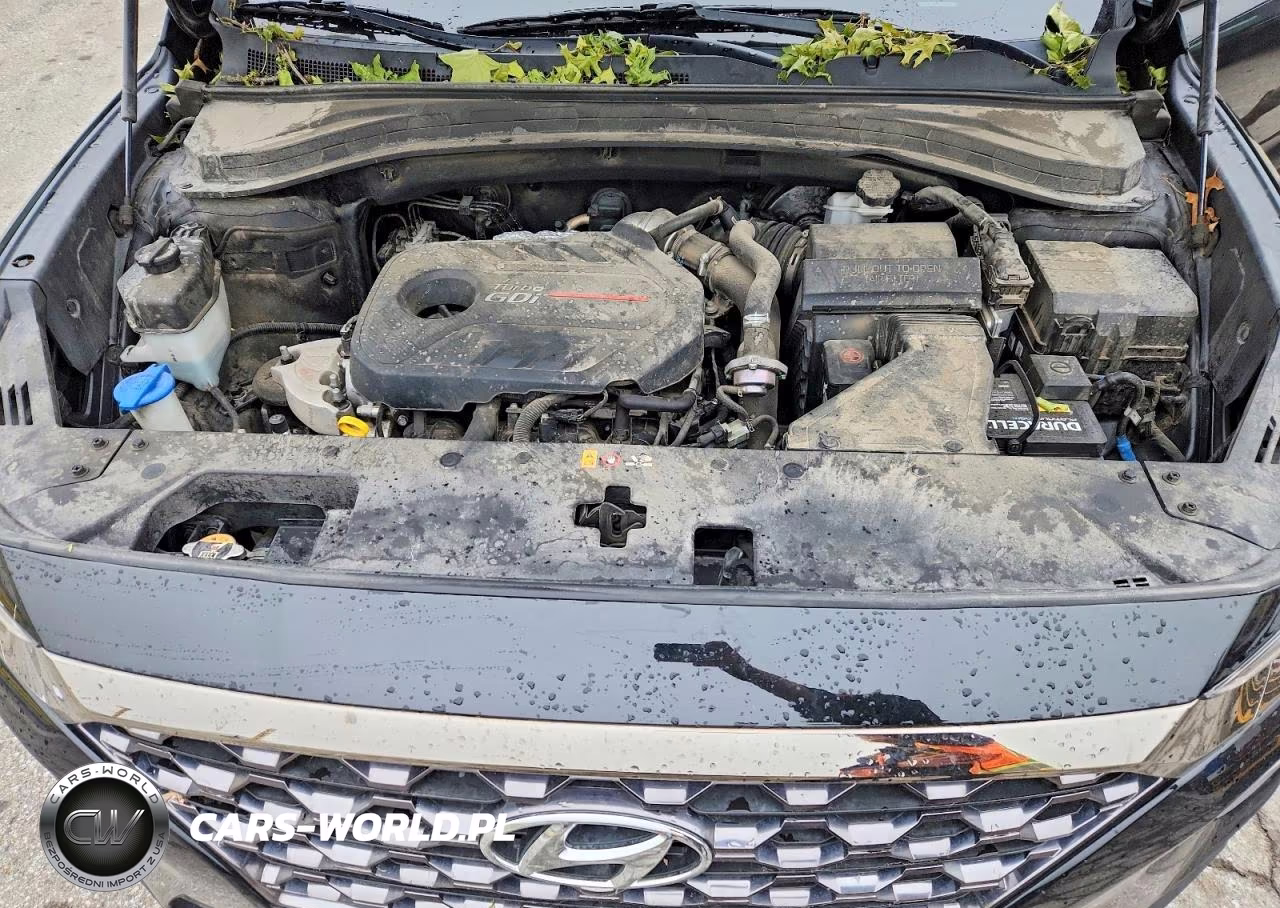 2019 Hyundai Santa Fe Ultimate 2.0T VIN:5NMS53AA5KH102500 - 12