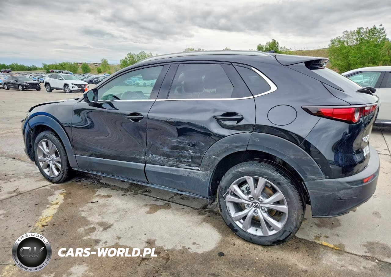2022 Mazda Cx-30 Premium VIN:3MVDMBDL9NM405167 - 2