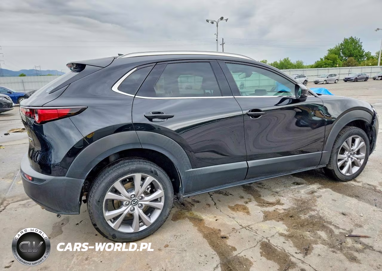 2022 Mazda Cx-30 Premium VIN:3MVDMBDL9NM405167 - 3