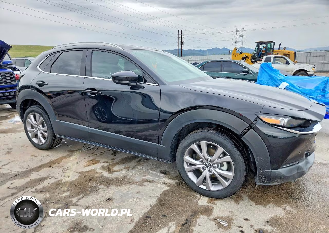 2022 Mazda Cx-30 Premium VIN:3MVDMBDL9NM405167 - 4