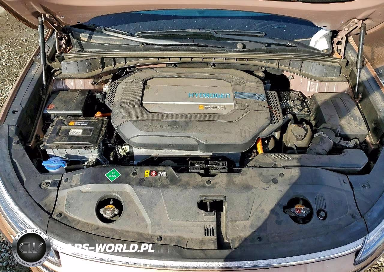 2021 Hyundai Nexo Limited VIN:KM8J84A69MU014660 - 12
