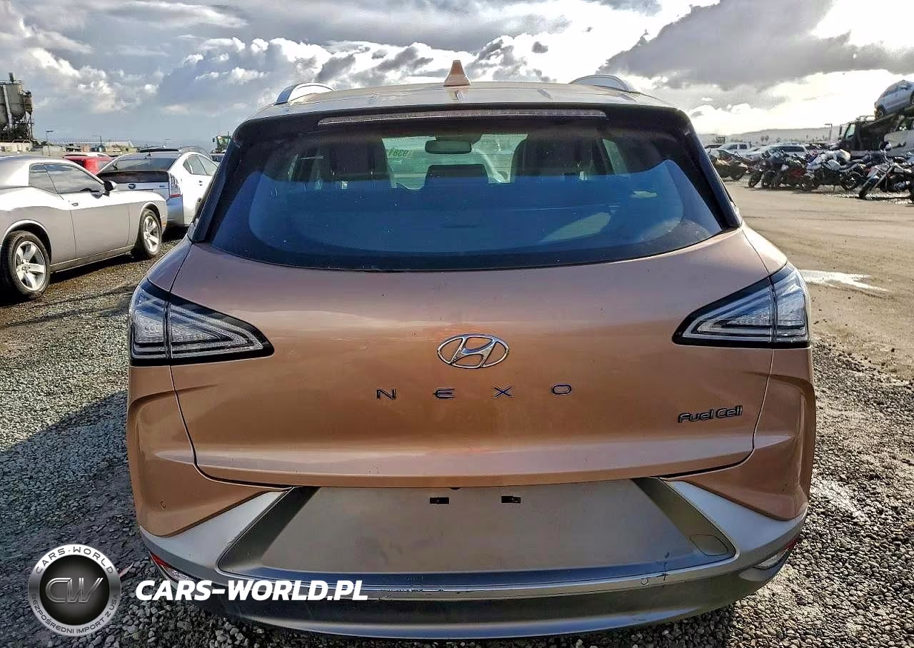 2021 Hyundai Nexo Limited VIN:KM8J84A69MU014660 - 6