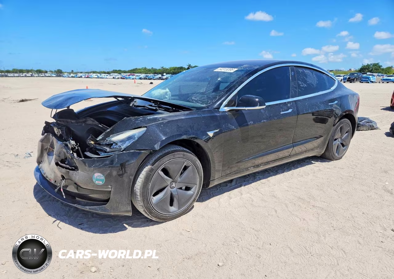 2019 Tesla Model 3