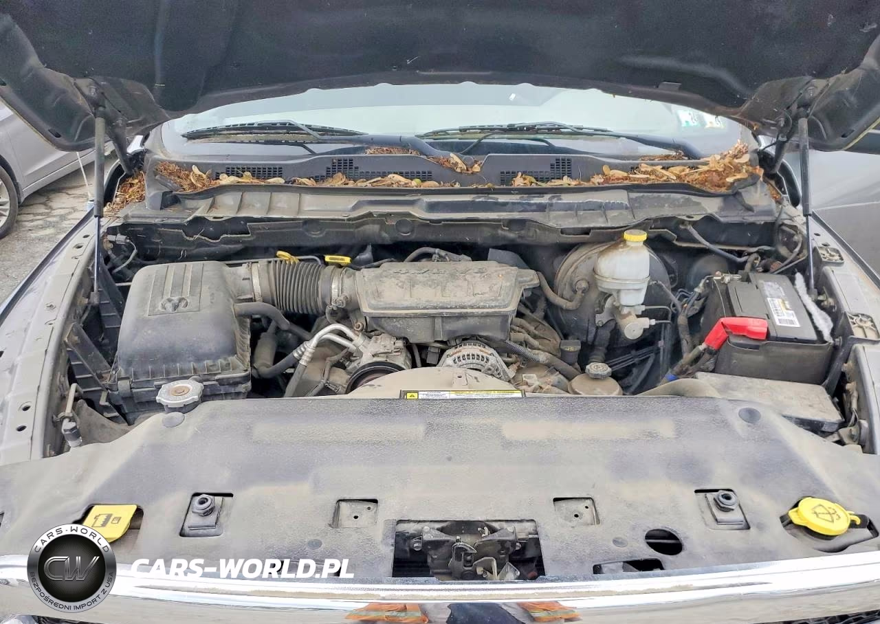 2009 Dodge Ram 1500 VIN:1D3HV18P29S805194 - 11