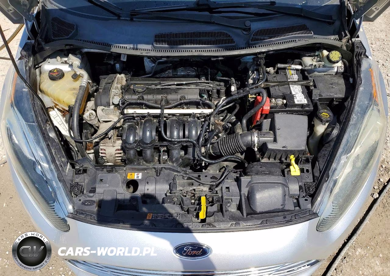 2014 Ford Fiesta Se VIN:3FADP4EJ7EM142779 - 11