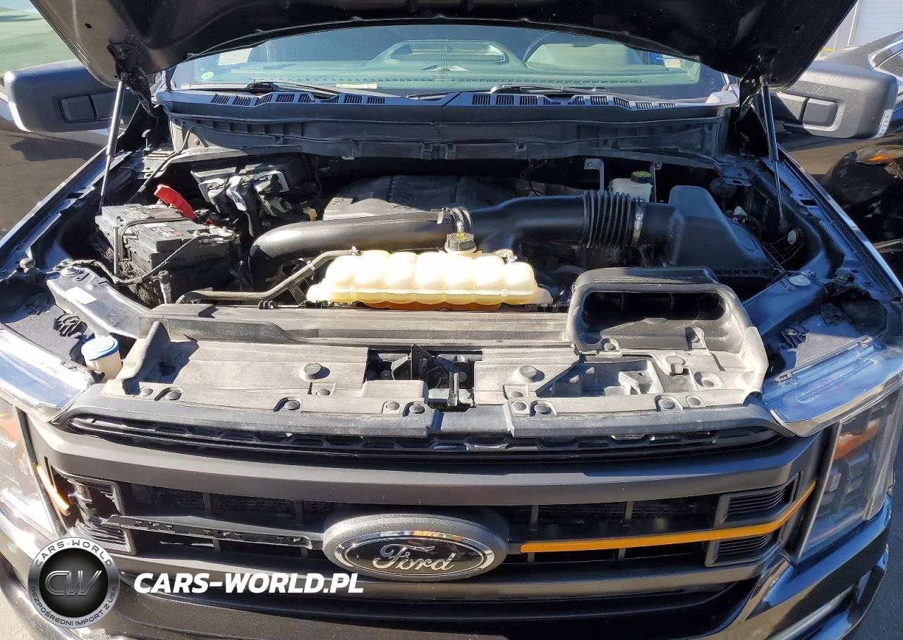 2022 Ford F-150 Tremor VIN:1FTEW1E89NFB41436 - 11
