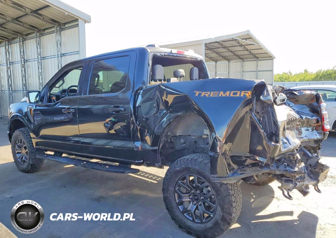 2022 Ford F-150 Tremor VIN:1FTEW1E89NFB41436 - 2