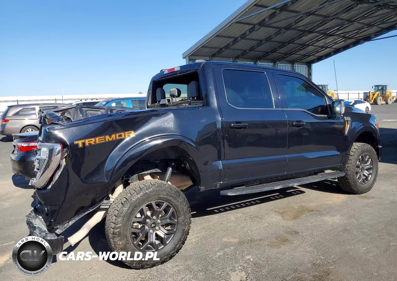 2022 Ford F-150 Tremor VIN:1FTEW1E89NFB41436 - 3