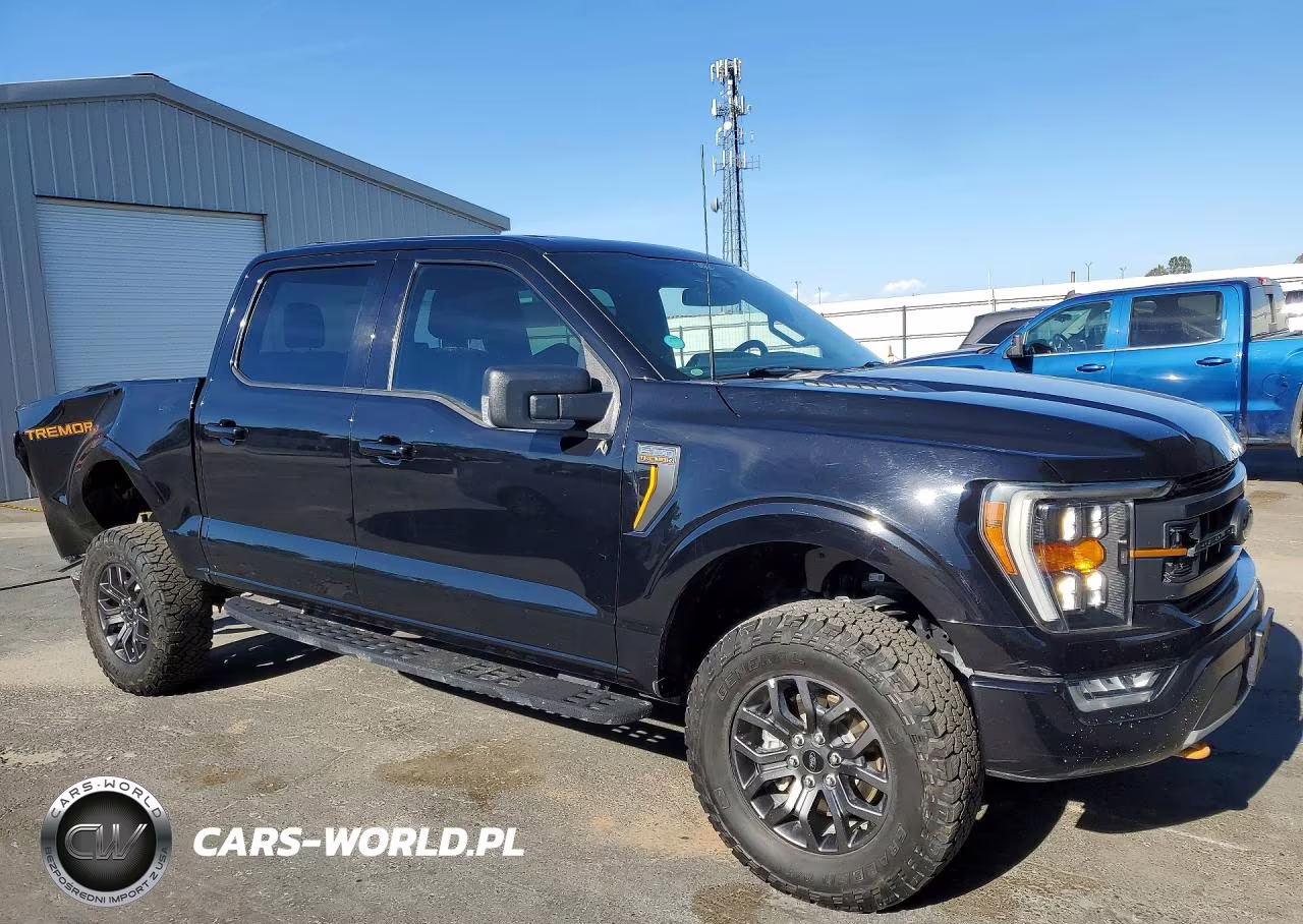 2022 Ford F-150 Tremor VIN:1FTEW1E89NFB41436 - 4