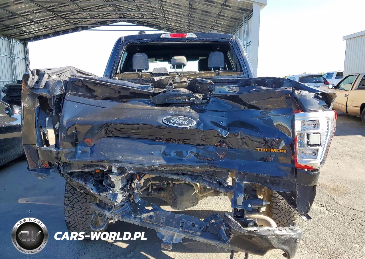 2022 Ford F-150 Tremor VIN:1FTEW1E89NFB41436 - 6